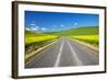 USA, Washington, Palouse. Backcountry Road Through Canola Fields-Terry Eggers-Framed Photographic Print