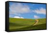 USA, Washington, Palouse. Backcountry Road Through Spring Wheat Field-Terry Eggers-Framed Stretched Canvas