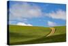 USA, Washington, Palouse. Backcountry Road Through Spring Wheat Field-Terry Eggers-Stretched Canvas