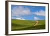 USA, Washington, Palouse. Backcountry Road Through Spring Wheat Field-Terry Eggers-Framed Photographic Print