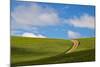 USA, Washington, Palouse. Backcountry Road Through Spring Wheat Field-Terry Eggers-Mounted Photographic Print