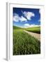 USA, Washington, Palouse. Backcountry Road Through Spring Wheat Field-Terry Eggers-Framed Photographic Print