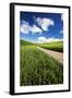 USA, Washington, Palouse. Backcountry Road Through Spring Wheat Field-Terry Eggers-Framed Photographic Print