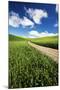 USA, Washington, Palouse. Backcountry Road Through Spring Wheat Field-Terry Eggers-Mounted Photographic Print