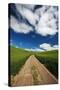 USA, Washington, Palouse. Backcountry Road Through Spring Wheat Field-Terry Eggers-Stretched Canvas