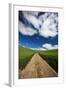 USA, Washington, Palouse. Backcountry Road Through Spring Wheat Field-Terry Eggers-Framed Photographic Print