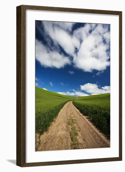 USA, Washington, Palouse. Backcountry Road Through Spring Wheat Field-Terry Eggers-Framed Photographic Print