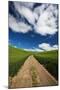 USA, Washington, Palouse. Backcountry Road Through Spring Wheat Field-Terry Eggers-Mounted Photographic Print