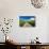 USA, Washington, Palouse. Backcountry Road Through Spring Wheat Field-Terry Eggers-Photographic Print displayed on a wall