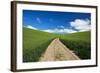 USA, Washington, Palouse. Backcountry Road Through Spring Wheat Field-Terry Eggers-Framed Photographic Print