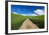 USA, Washington, Palouse. Backcountry Road Through Spring Wheat Field-Terry Eggers-Framed Photographic Print