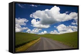 USA, Washington, Palouse. Backcountry Road Through Spring Wheat Field-Terry Eggers-Framed Stretched Canvas