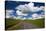 USA, Washington, Palouse. Backcountry Road Through Spring Wheat Field-Terry Eggers-Stretched Canvas