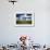 USA, Washington, Palouse. Backcountry Road Through Spring Wheat Field-Terry Eggers-Framed Photographic Print displayed on a wall