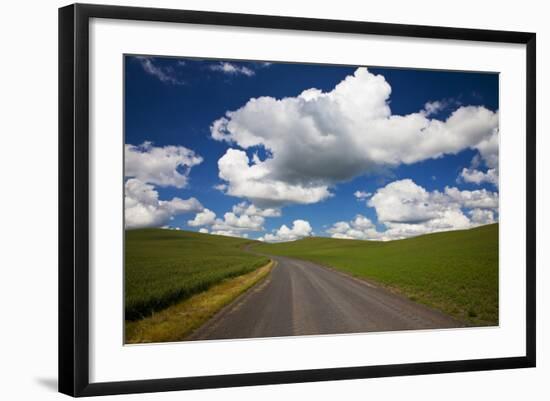 USA, Washington, Palouse. Backcountry Road Through Spring Wheat Field-Terry Eggers-Framed Photographic Print