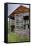 USA, Washington, Palouse. Homestead Surrounded by Wildflowers-Terry Eggers-Framed Stretched Canvas