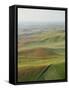 Usa, Washington, Palouse, Lush Farmland, Aerial View-Ryan Mcvay-Framed Stretched Canvas