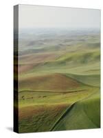 Usa, Washington, Palouse, Lush Farmland, Aerial View-Ryan Mcvay-Stretched Canvas