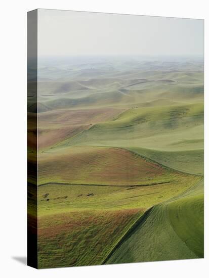 Usa, Washington, Palouse, Lush Farmland, Aerial View-Ryan Mcvay-Stretched Canvas