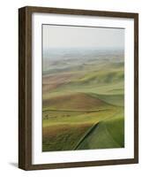 Usa, Washington, Palouse, Lush Farmland, Aerial View-Ryan Mcvay-Framed Photographic Print