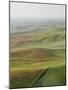 Usa, Washington, Palouse, Lush Farmland, Aerial View-Ryan Mcvay-Mounted Photographic Print