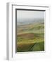 Usa, Washington, Palouse, Lush Farmland, Aerial View-Ryan Mcvay-Framed Photographic Print