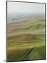 Usa, Washington, Palouse, Lush Farmland, Aerial View-Ryan Mcvay-Mounted Photographic Print