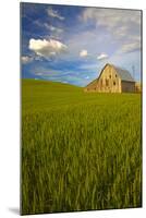 USA, Washington, Palouse. Old Barn in Field of Spring Wheat (Pr)-Terry Eggers-Mounted Photographic Print