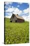 USA, Washington, Palouse. Old, Red Barn in Field of Chickpeas (Pr)-Terry Eggers-Stretched Canvas