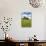 USA, Washington, Palouse. Old, Red Barn in Field of Chickpeas (Pr)-Terry Eggers-Photographic Print displayed on a wall