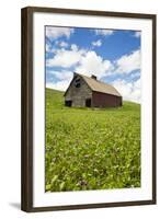 USA, Washington, Palouse. Old, Red Barn in Field of Chickpeas (Pr)-Terry Eggers-Framed Photographic Print