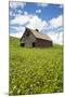 USA, Washington, Palouse. Old, Red Barn in Field of Chickpeas (Pr)-Terry Eggers-Mounted Photographic Print