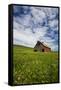 USA, Washington, Palouse. Old, Red Barn in Field of Chickpeas (Pr)-Terry Eggers-Framed Stretched Canvas