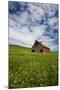 USA, Washington, Palouse. Old, Red Barn in Field of Chickpeas (Pr)-Terry Eggers-Mounted Photographic Print