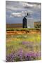 USA, Washington, Palouse. Old silo with wildflowers-Julie Eggers-Mounted Photographic Print