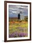 USA, Washington, Palouse. Old silo with wildflowers-Julie Eggers-Framed Photographic Print