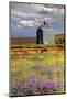 USA, Washington, Palouse. Old silo with wildflowers-Julie Eggers-Mounted Photographic Print