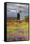 USA, Washington, Palouse. Old silo with wildflowers-Julie Eggers-Framed Stretched Canvas