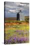 USA, Washington, Palouse. Old silo with wildflowers-Julie Eggers-Stretched Canvas