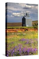USA, Washington, Palouse. Old silo with wildflowers-Julie Eggers-Stretched Canvas