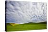 USA, Washington, Palouse. Rolling Hills Covered by Canola and Peas-Terry Eggers-Stretched Canvas