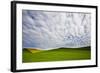 USA, Washington, Palouse. Rolling Hills Covered by Canola and Peas-Terry Eggers-Framed Photographic Print