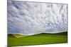 USA, Washington, Palouse. Rolling Hills Covered by Canola and Peas-Terry Eggers-Mounted Photographic Print