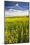 USA, Washington, Palouse. Rolling Hills Covered by Canola and Peas-Terry Eggers-Mounted Photographic Print