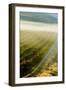 USA, Washington, Pasco. Fog and Harvest in a Washington Vineyard-Richard Duval-Framed Photographic Print