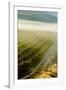 USA, Washington, Pasco. Fog and Harvest in a Washington Vineyard-Richard Duval-Framed Photographic Print