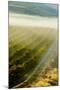 USA, Washington, Pasco. Fog and Harvest in a Washington Vineyard-Richard Duval-Mounted Photographic Print