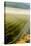 USA, Washington, Pasco. Fog and Harvest in a Washington Vineyard-Richard Duval-Stretched Canvas