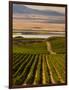 USA, Washington, Pasco. Harvest in Eastern Washington Vineyard-Richard Duval-Framed Photographic Print