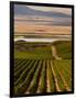 USA, Washington, Pasco. Harvest in Eastern Washington Vineyard-Richard Duval-Framed Photographic Print